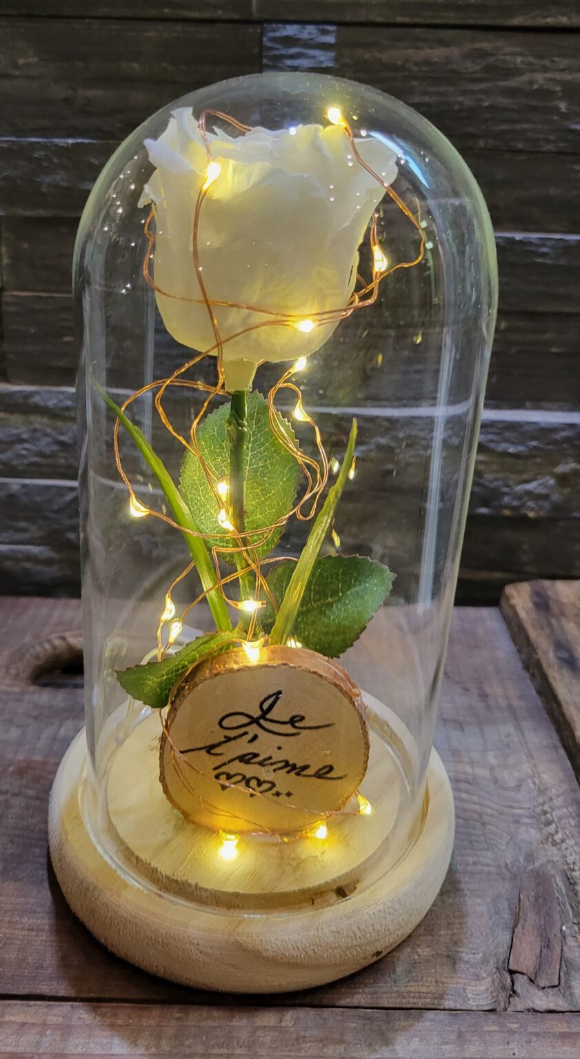 Rose Éternelle série Classique(med), 2 Blanche SaintRémi